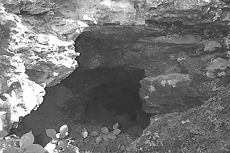 The Cave